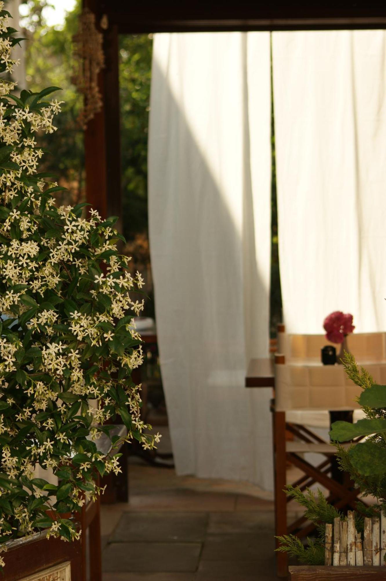 Cunda Lena Otel Ayvalı Extérieur photo